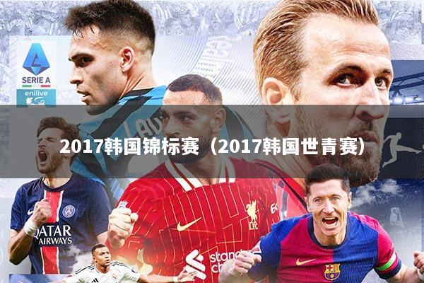 2017韩国锦标赛（2017韩国世青赛）